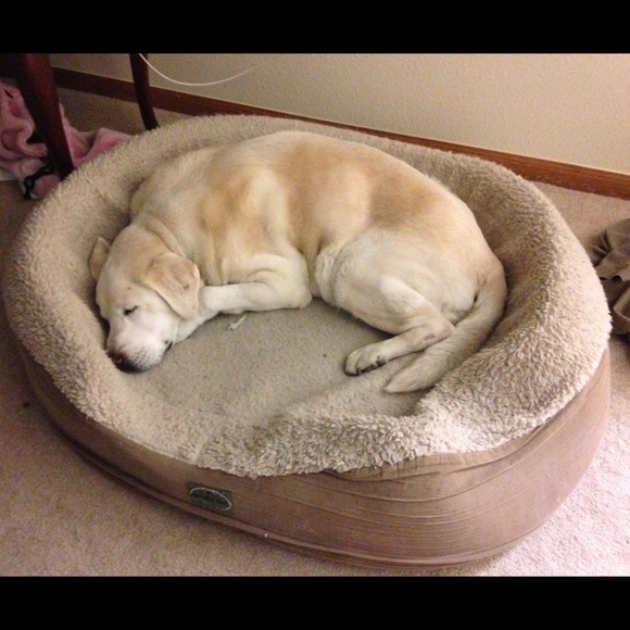 Meet your Posh Ambassador, Sandi - Picture 2 of 9